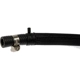 Purchase Top-Quality DORMAN (OE SOLUTIONS) - 624-990 - Transmission Oil Cooler Line pa3