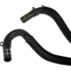 Purchase Top-Quality DORMAN (OE SOLUTIONS) - 624-995 - Transmission Oil Cooler Line pa2