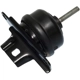 Purchase Top-Quality Transmission Mount by WESTAR INDUSTRIES - EM2895 pa1