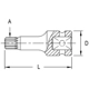 Purchase Top-Quality GENIUS - 4476T14 - 1/2″ Dr. M14 Triple Square Head Driver 76mmL (Pack of 10) pa2