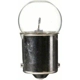 Purchase Top-Quality Trunk Light by PHILIPS - 67LLB2 pa37
