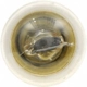 Purchase Top-Quality Trunk Light by SYLVANIA - 1004LL.BP2 pa15