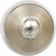 Purchase Top-Quality Trunk Light by SYLVANIA - 6418SL.BP pa37