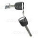 Purchase Top-Quality Trunk Lock by BLUE STREAK (HYGRADE MOTOR) - TL308 pa4