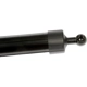 Purchase Top-Quality DORMAN (OE SOLUTIONS) - 747-050 - Liftgate Cylinder pa3