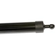 Purchase Top-Quality DORMAN (OE SOLUTIONS) - 747-051 - Liftgate Cylinder pa4