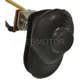Purchase Top-Quality Trunk Open Warning Switch by BLUE STREAK (HYGRADE MOTOR) - AW1082 pa1
