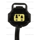 Purchase Top-Quality Connecteur de coffre ou de hayon by BLUE STREAK (HYGRADE MOTOR) - HP4665 pa1