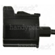 Purchase Top-Quality Trunk Or Hatch Connector by BLUE STREAK (HYGRADE MOTOR) - HP4665 pa13