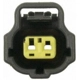 Purchase Top-Quality Trunk Or Hatch Connector by BLUE STREAK (HYGRADE MOTOR) - S2081 pa14