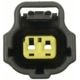 Purchase Top-Quality Trunk Or Hatch Connector by BLUE STREAK (HYGRADE MOTOR) - S2081 pa9