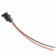 Purchase Top-Quality Trunk Or Hatch Connector by BLUE STREAK (HYGRADE MOTOR) - S566 pa22