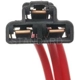 Purchase Top-Quality Trunk Or Hatch Connector by BLUE STREAK (HYGRADE MOTOR) - S640 pa24