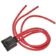 Purchase Top-Quality Trunk Or Hatch Connector by BLUE STREAK (HYGRADE MOTOR) - S640 pa25