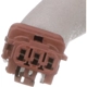 Purchase Top-Quality Trunk Or Hatch Switch by BLUE STREAK (HYGRADE MOTOR) - LSW102 pa5