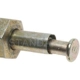 Purchase Top-Quality Trunk Or Hatch Switch by BLUE STREAK (HYGRADE MOTOR) - DS235 pa10