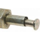 Purchase Top-Quality Trunk Or Hatch Switch by BLUE STREAK (HYGRADE MOTOR) - DS235 pa9