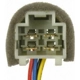Purchase Top-Quality Trunk Or Hatch Switch by BLUE STREAK (HYGRADE MOTOR) - DS2405 pa4
