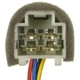 Purchase Top-Quality Trunk Or Hatch Switch by BLUE STREAK (HYGRADE MOTOR) - DS2405 pa5