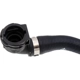 Purchase Top-Quality DORMAN (OE SOLUTIONS) - 667-318 - Turbocharger Coolant Line pa5