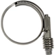 Purchase Top-Quality DORMAN - 55244 - Intercooler Hose Clamp pa2