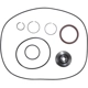 Purchase Top-Quality ROTOMASTER - A1670306N - Turbocharger Service Kit pa1