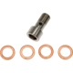 Purchase Top-Quality Turbocharger Oil Return Tube by DORMAN (OE SOLUTIONS) - 667582 pa2