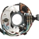 Purchase Top-Quality Turn Indicator Switch by BLUE STREAK (HYGRADE MOTOR) - TW75 pa4