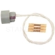 Purchase Top-Quality Turn Signal Lamp Connector by BLUE STREAK (HYGRADE MOTOR) - S1407 pa2