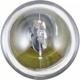 Purchase Top-Quality Under Hood Light by PHILIPS - 1004LLB2 pa65