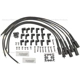 Purchase Top-Quality Universal Resistor Ignition Wire Set by BLUE STREAK (HYGRADE MOTOR) - 10066 pa2