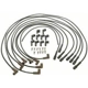 Purchase Top-Quality Universal Resistor Ignition Wire Set by BLUE STREAK (HYGRADE MOTOR) - 28840 pa9