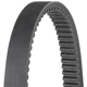 Purchase Top-Quality DAYCO - HP3021 - Drive Belts pa1