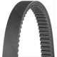 Purchase Top-Quality DAYCO - XTX2217 - Belts pa1