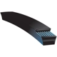Purchase Top-Quality GATES - A50 - Wrapped Classical Section Hi-Power II V-Belt pa3