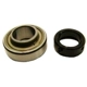 Purchase Top-Quality SKF - RA100RR - Wheel Bearing pa1