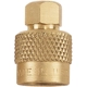 Purchase Top-Quality 31 INCORPORATED - 17-860 - Large Bore Hex-Head Valve Cap pa1