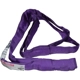Purchase Top-Quality ANCRA CARGO - 20-ENR1X4 - 1” x 4’ Purple Endless Round Lifting Sling pa1