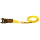 Purchase Top-Quality ANCRA CARGO - SL47 - 1” x 13’ Endless Ratchet Tie-Down, Clamshell pa2