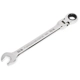 Purchase Top-Quality APEX TOOLS - 86748 - Ratcheting Combination Wrench pa2