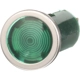 Purchase Top-Quality BLUE STREAK (HYGRADE MOTOR) - DS1325 - Warning Indicator Lamp pa5