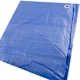Purchase Top-Quality ERICKSON MANUFACTURING LTD. - 57001 - 8′ x 10′ - Economy Grade Poly Tarps pa2