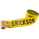 Purchase Top-Quality ERICKSON MANUFACTURING LTD. - 58800 - 4″ x 30′ Winch Strap with Flat Hook pa1