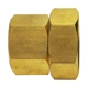 Purchase Top-Quality FAIRVIEW FITTING - 199SD - Female Pipe To Female Coupling pa1