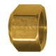 Purchase Top-Quality FAIRVIEW FITTING - 564 - 1/4 Tube OD Sealing Cap Nut pa1
