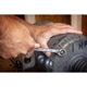 Purchase Top-Quality Unspecified Tool by GEAR WRENCH - 86644 pa2