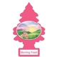 Purchase Top-Quality LITTLE TREES - U1P-10228 - Air Freshener pa1