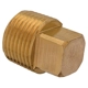 Purchase Top-Quality PAPCO - 009-426 - 1/2" Pipe Plug Brass pa1