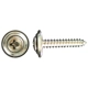Purchase Top-Quality PAPCO - 910-1170 - #10 x 1" Screws pa1