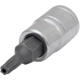Purchase Top-Quality PERFORMANCE TOOL - W36915 - 1/4" Dr. T15 TR Star Bit Socket pa1